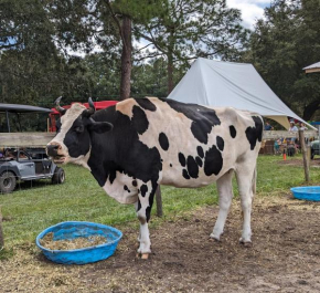 Rooterville Animal Sanctuary